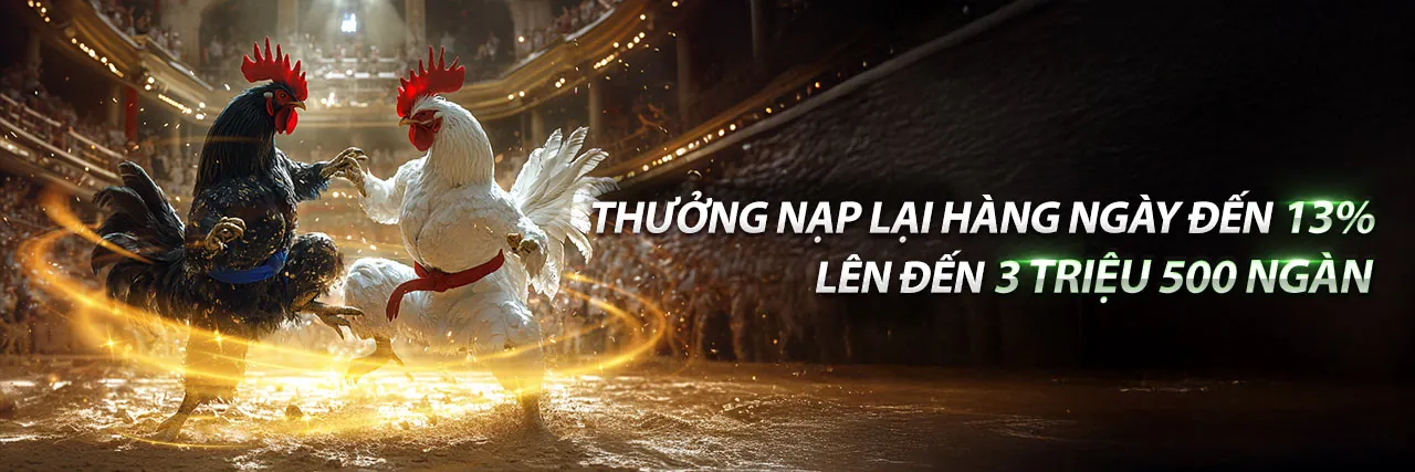 Hình ảnh chủ đạo của Blog 222wim